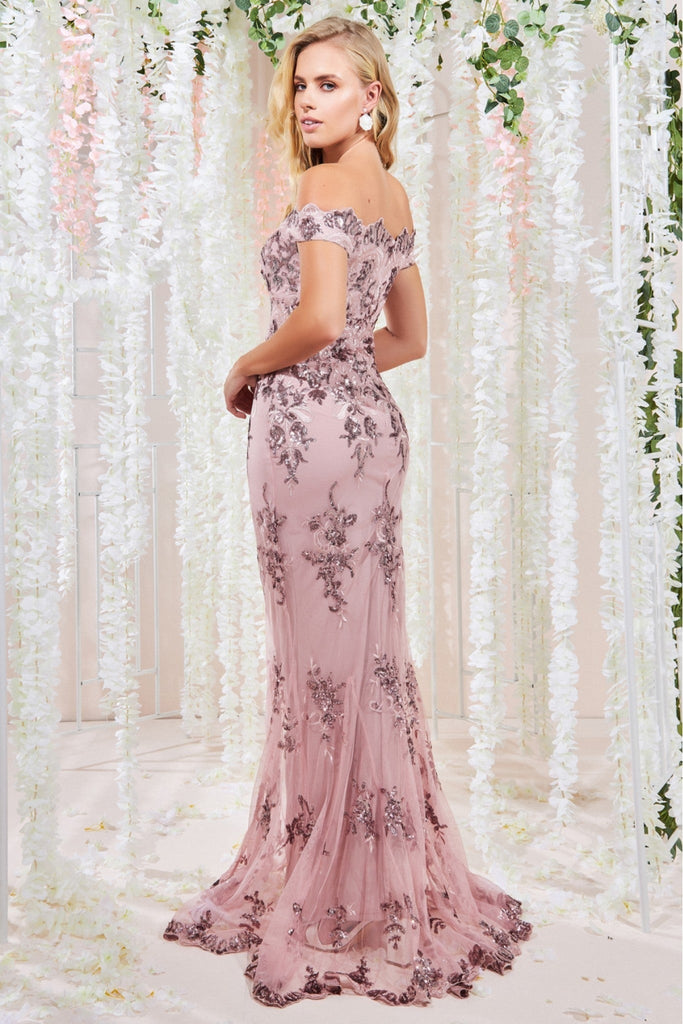 Zara Blush Gown